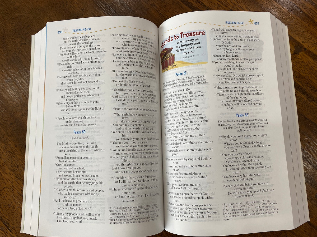 NIV Adventure Bible (Paperback)