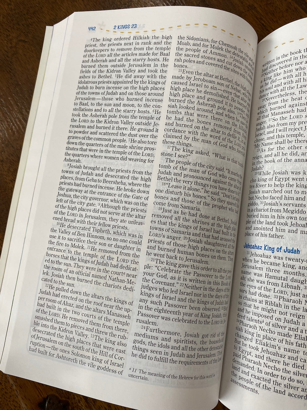 NIV Adventure Bible (Paperback)