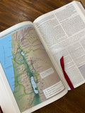 NKJV Comfort Print Full Color Study Bible, Hardcover