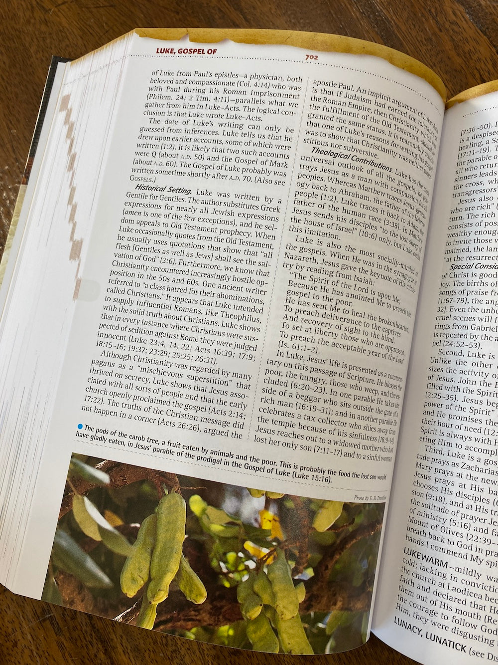 Nelson's Illustrated Bible Dictionary, New and Enhanced Edition