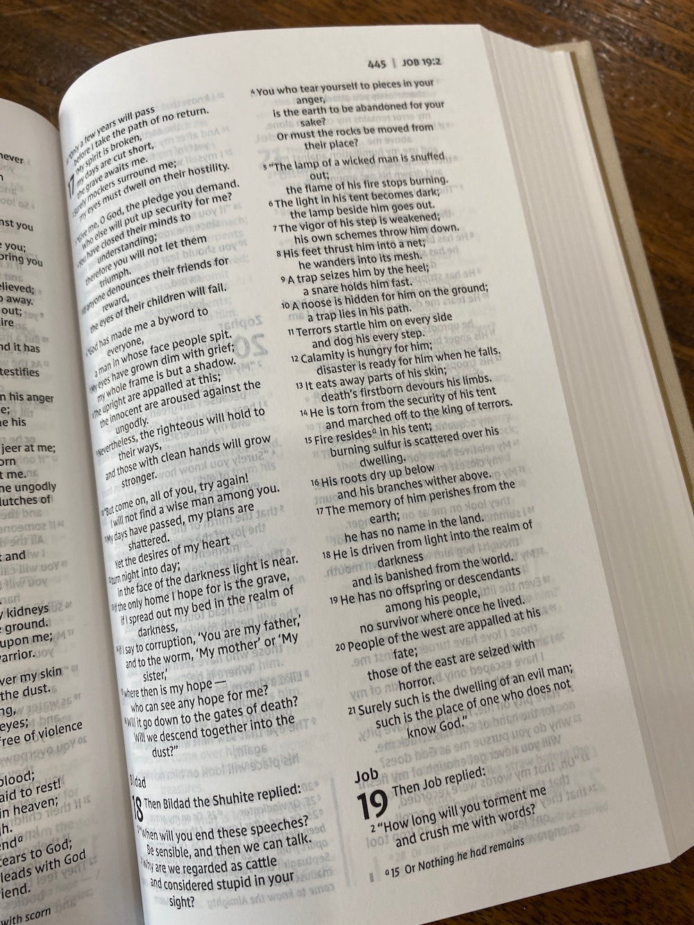 NIV Bride's Bible--cloth over board, cream