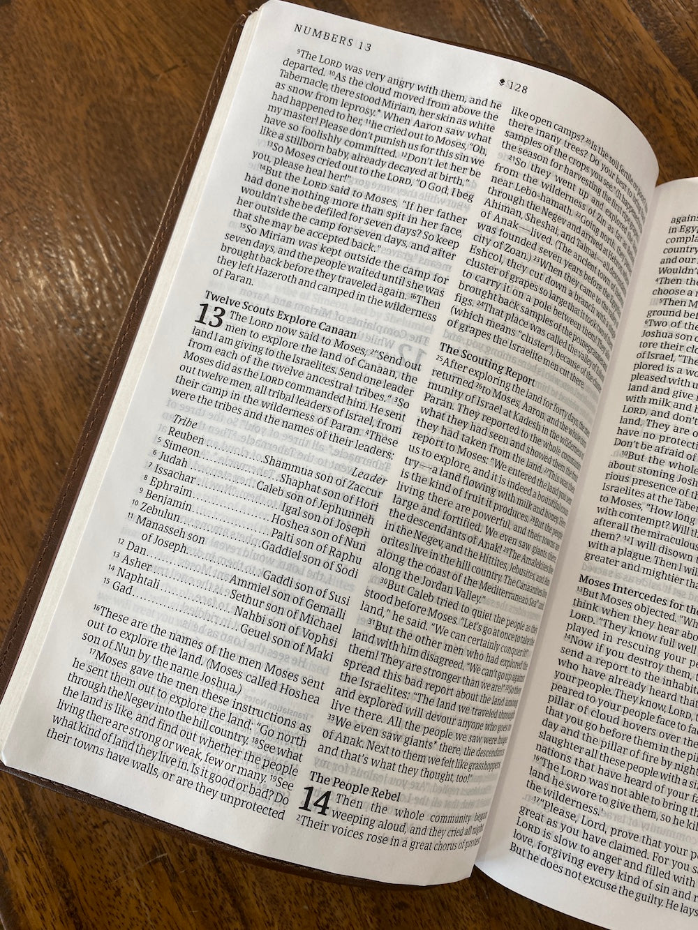 NLT Thinline Reference Bible, Filament Enabled Edition Brown
