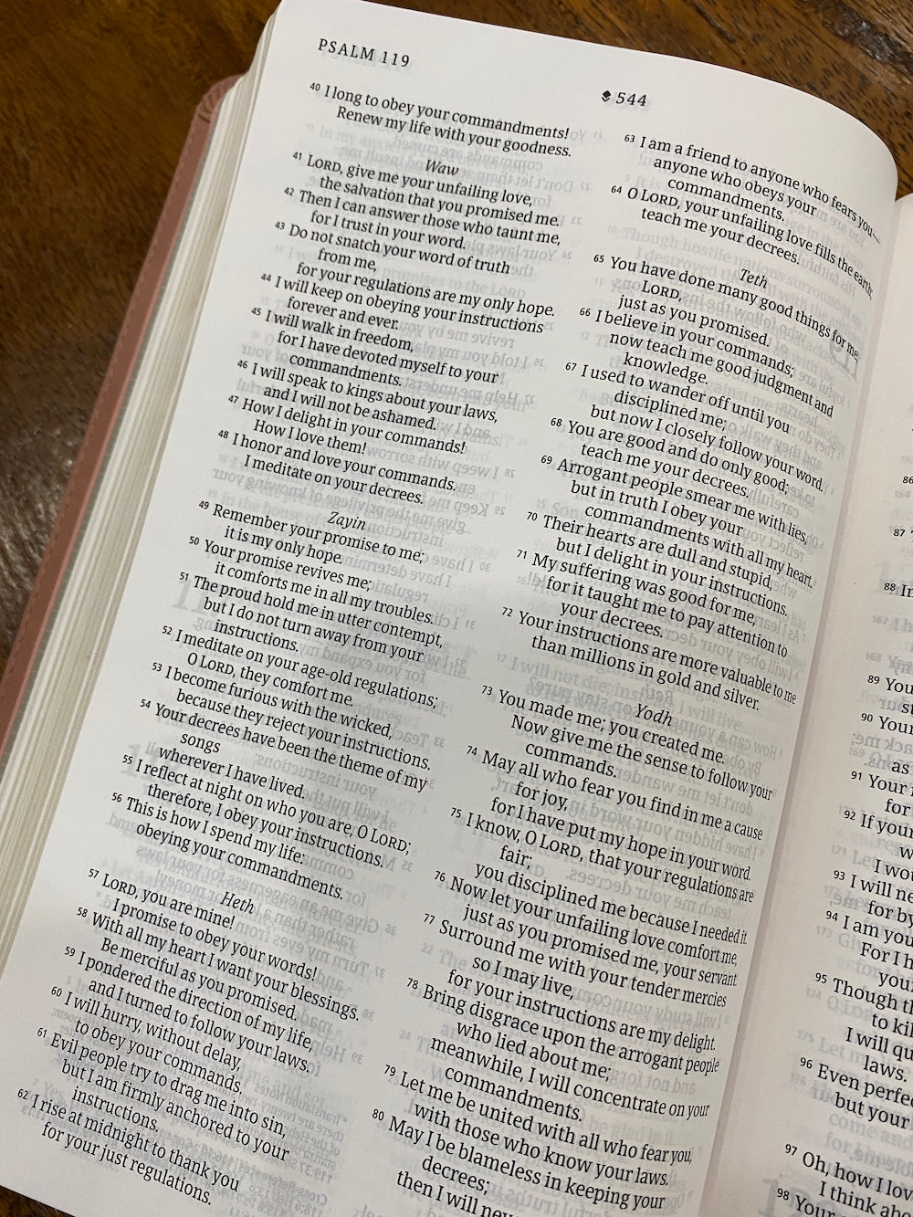 NLT Thinline Reference Bible, Filament Enabled Edition Pink