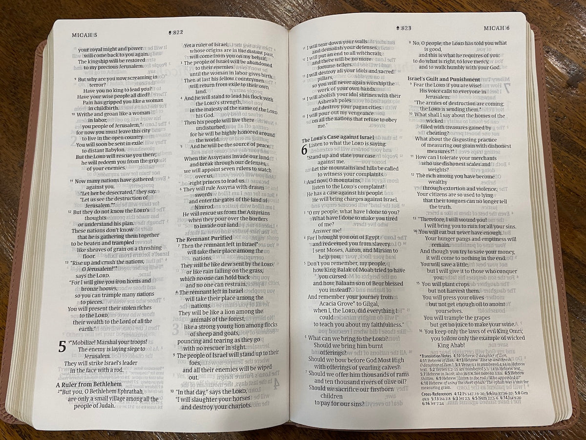 NLT Thinline Reference Bible, Filament Enabled Edition Pink