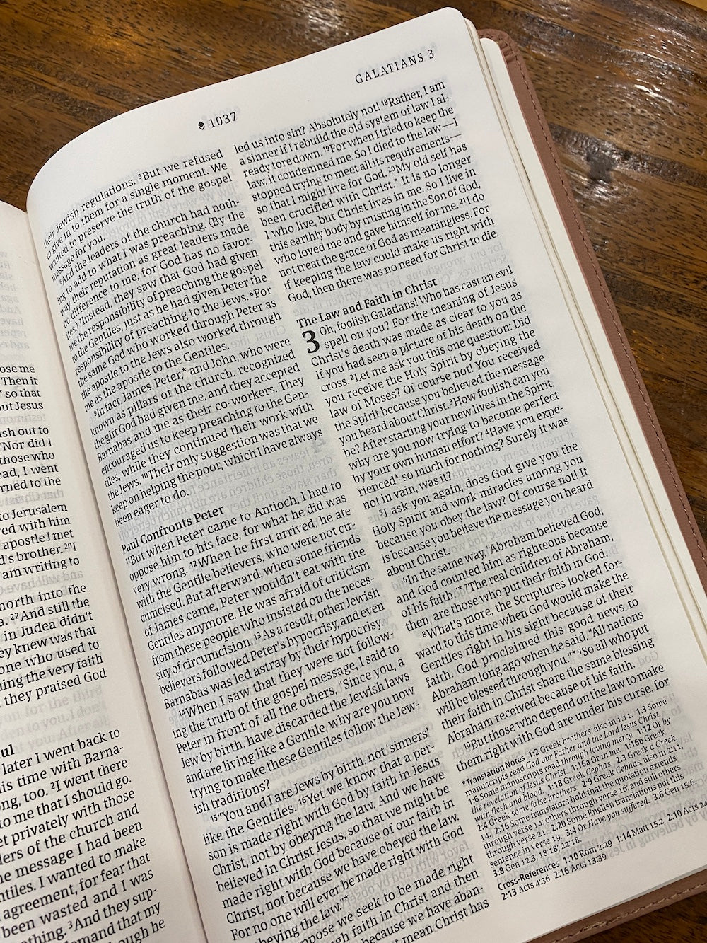 NLT Thinline Reference Bible, Filament Enabled Edition Pink
