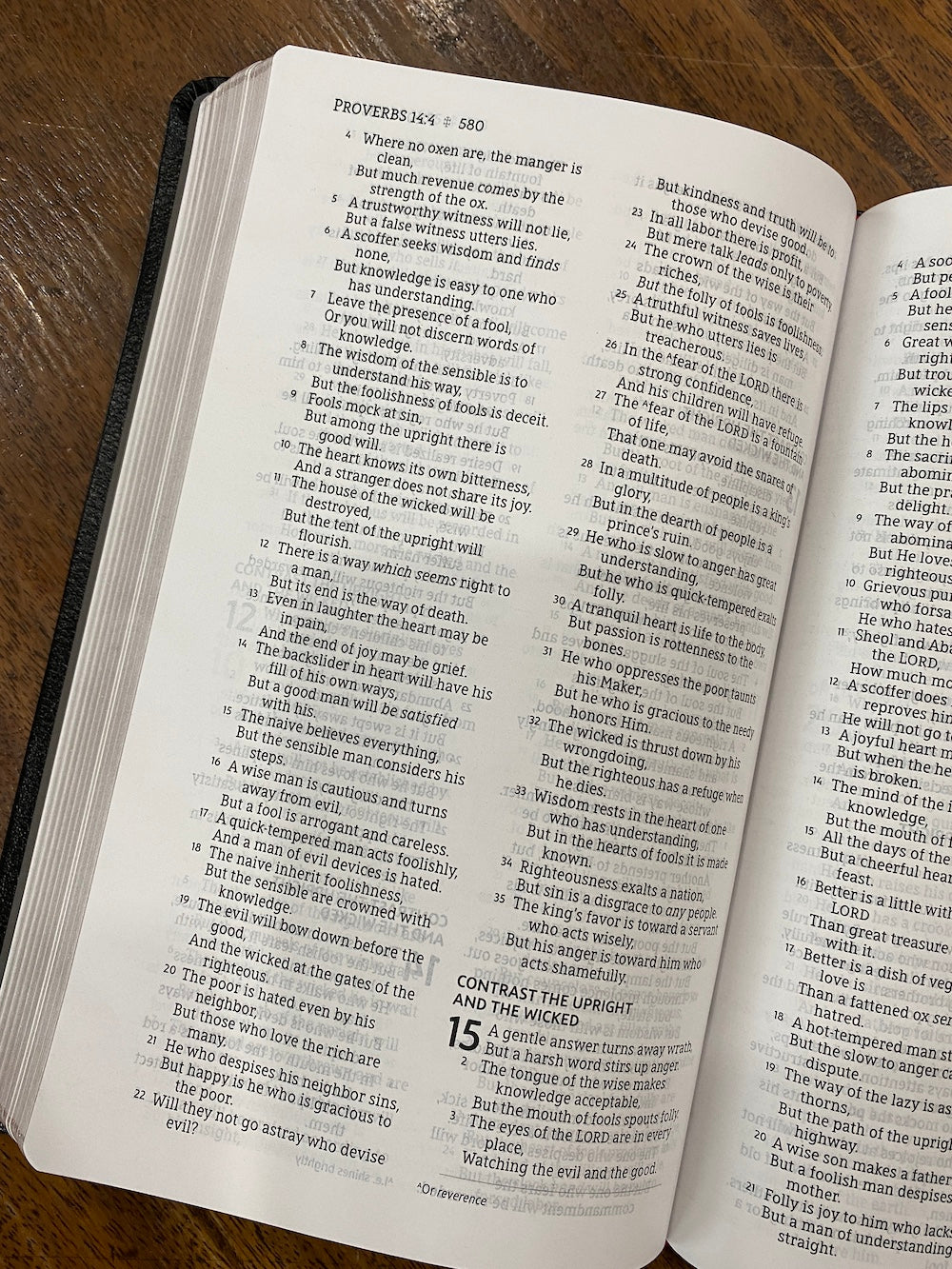 NASB Comfort Print Thinline Bible bonded leather black