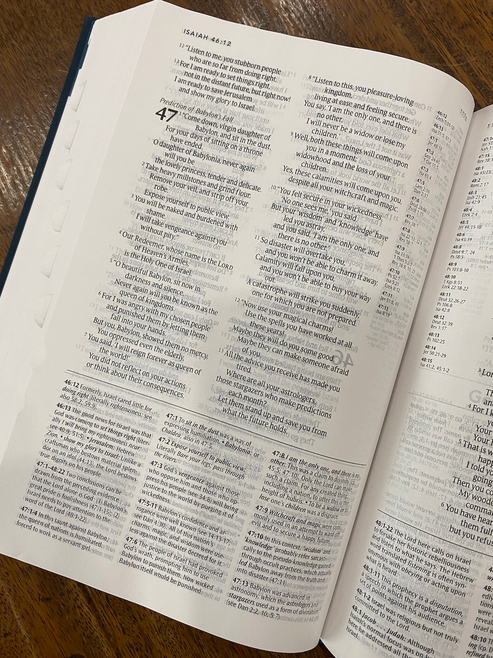 NLT Study Bible (Hardcover, Indexed, Blue Fabric)