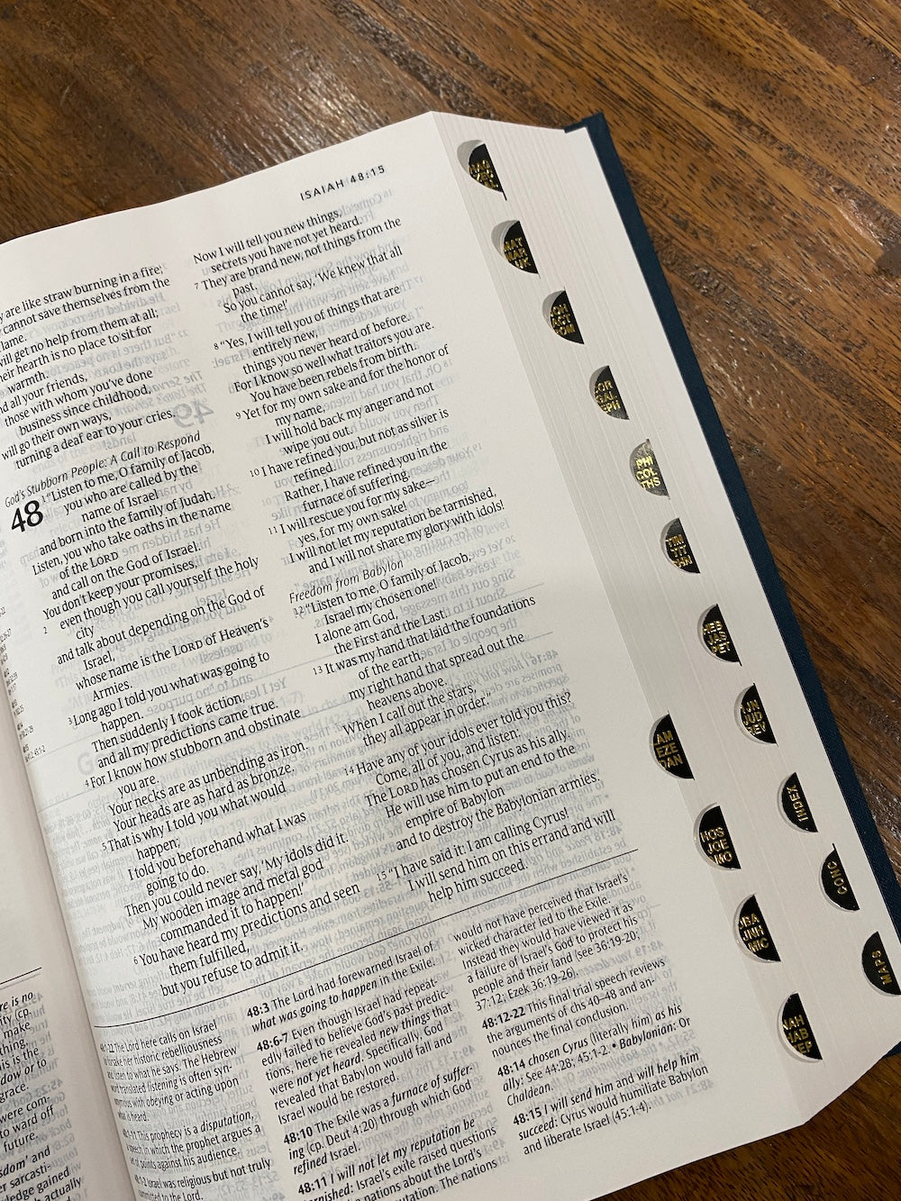 NLT Study Bible (Hardcover, Indexed, Blue Fabric)
