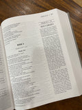 NIV The Jesus Bible--cloth over board, gray