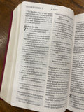 NLT Personal-Size Giant-Print Bible, Filament Enabled Edition--soft leather-look, aurora cranberry