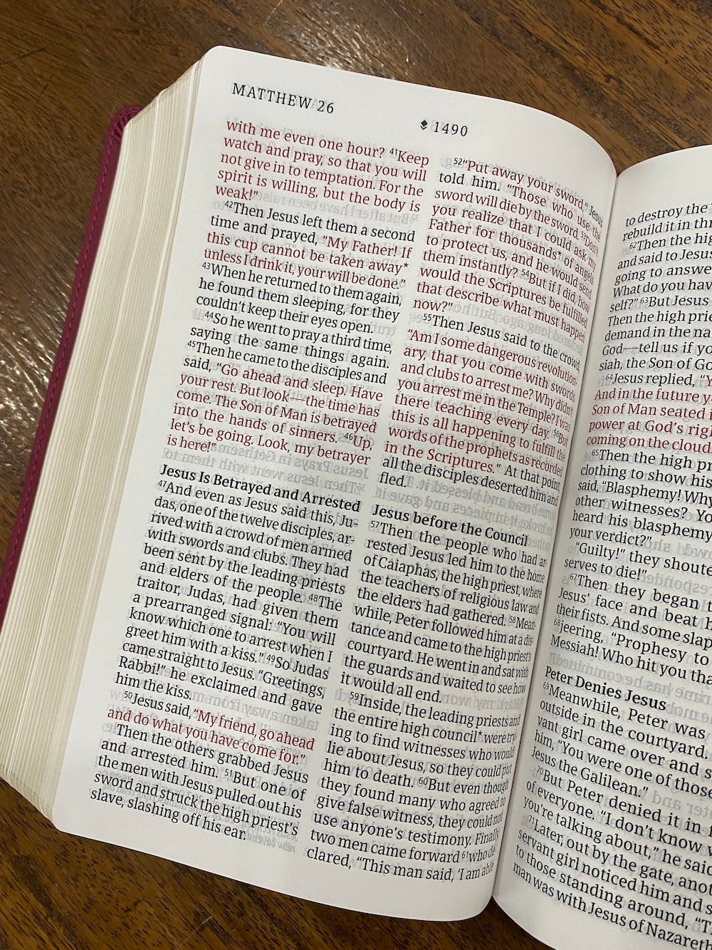 NLT Personal-Size Giant-Print Bible, Filament Enabled Edition--soft leather-look, aurora cranberry