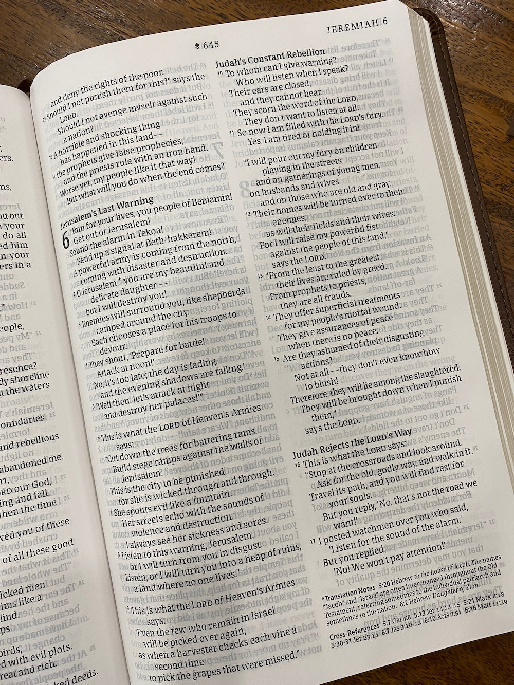 NLT Large-Print Thinline Reference Bible, Filament Enabled Edition--soft leather-look, rustic brown