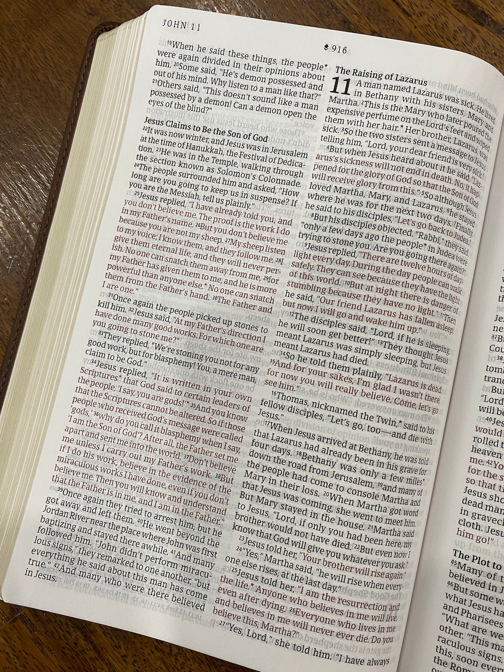 NLT Large-Print Thinline Reference Bible, Filament Enabled Edition--soft leather-look, rustic brown