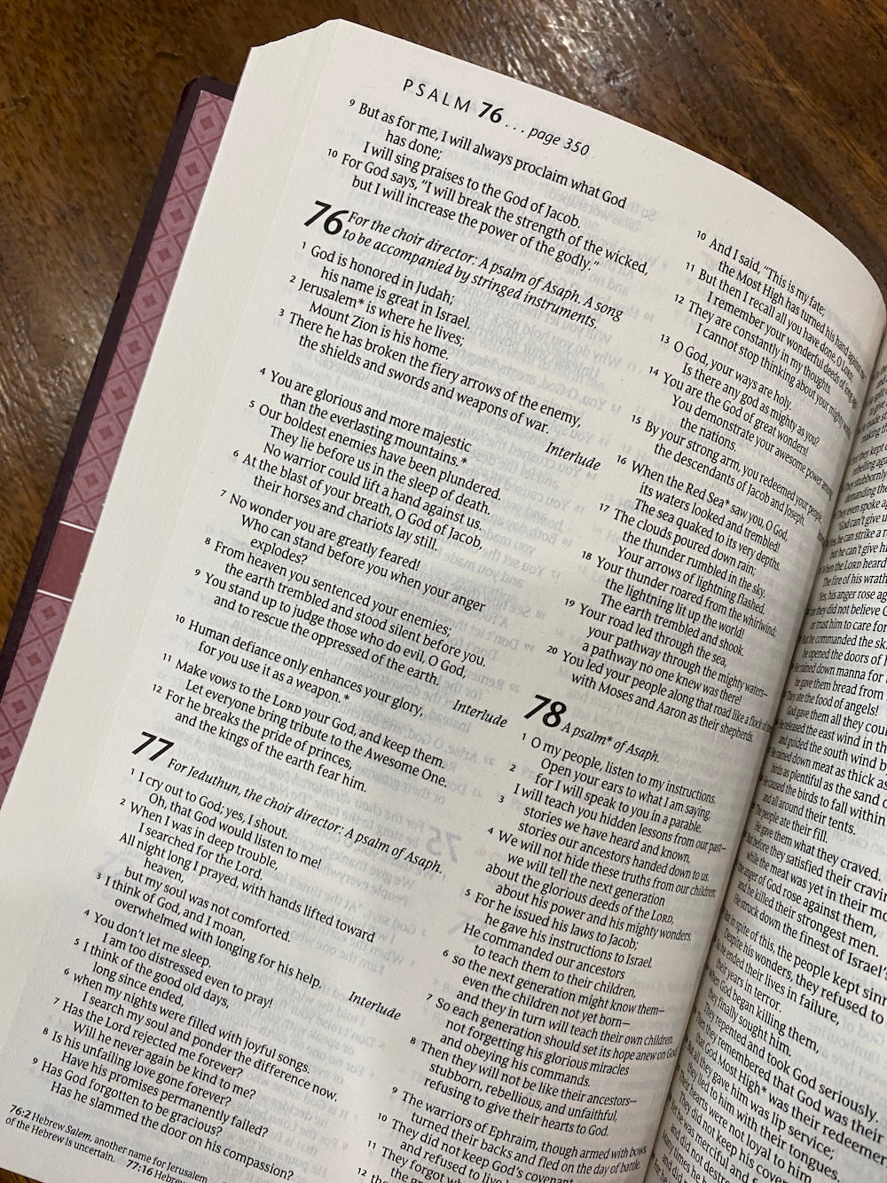 NLT Gift & Award Bible (Imitation Leather, Burgundy)