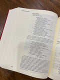 ESV Single Column Journaling Bible, Artist Series (Peter Voth, Sanctus)