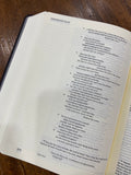 ESV Single Column Journaling Bible, Artist Series (Joshua Noom, The Lion and the Lamb)