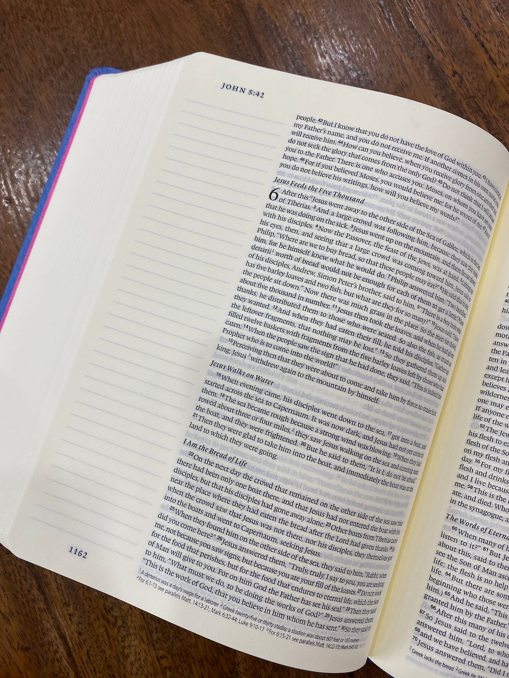 ESV Single Column Journaling Bible, Artist Series (Jess Phoenix, Garden)