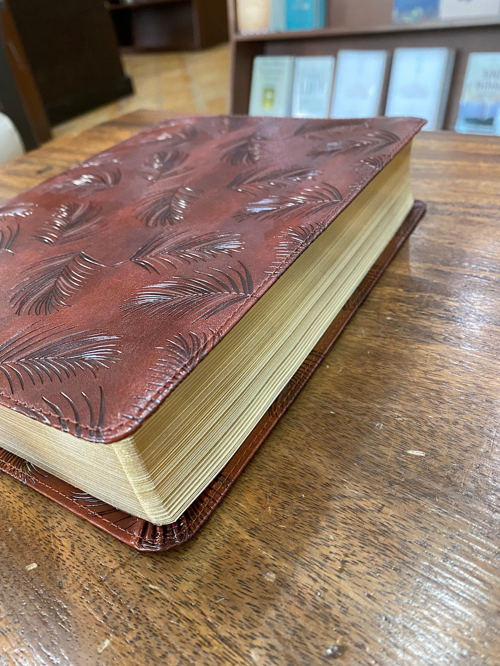 NLT Wide Margin Bible, Filament Enabled Edition--soft leather-look, dark brown
