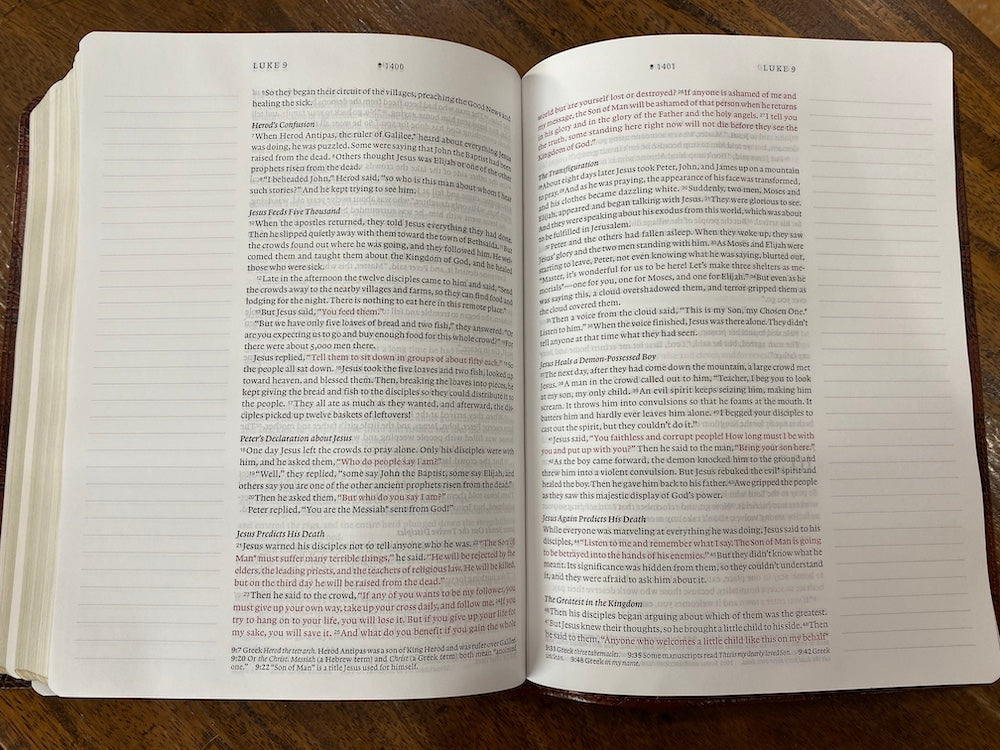 NLT Wide Margin Bible, Filament Enabled Edition--soft leather-look, dark brown