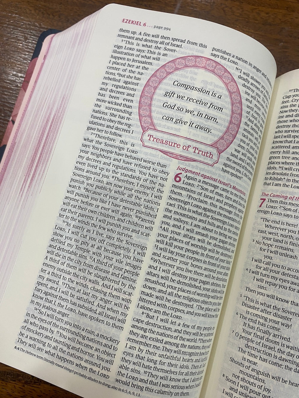 NLT THRIVE Devotional Bible for Women, hardcover