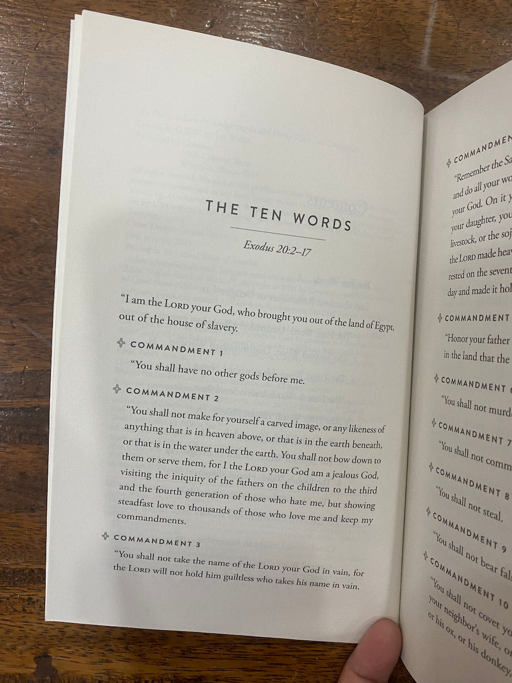 Ten Words to Live By: Delighting in and Doing What God Commands
