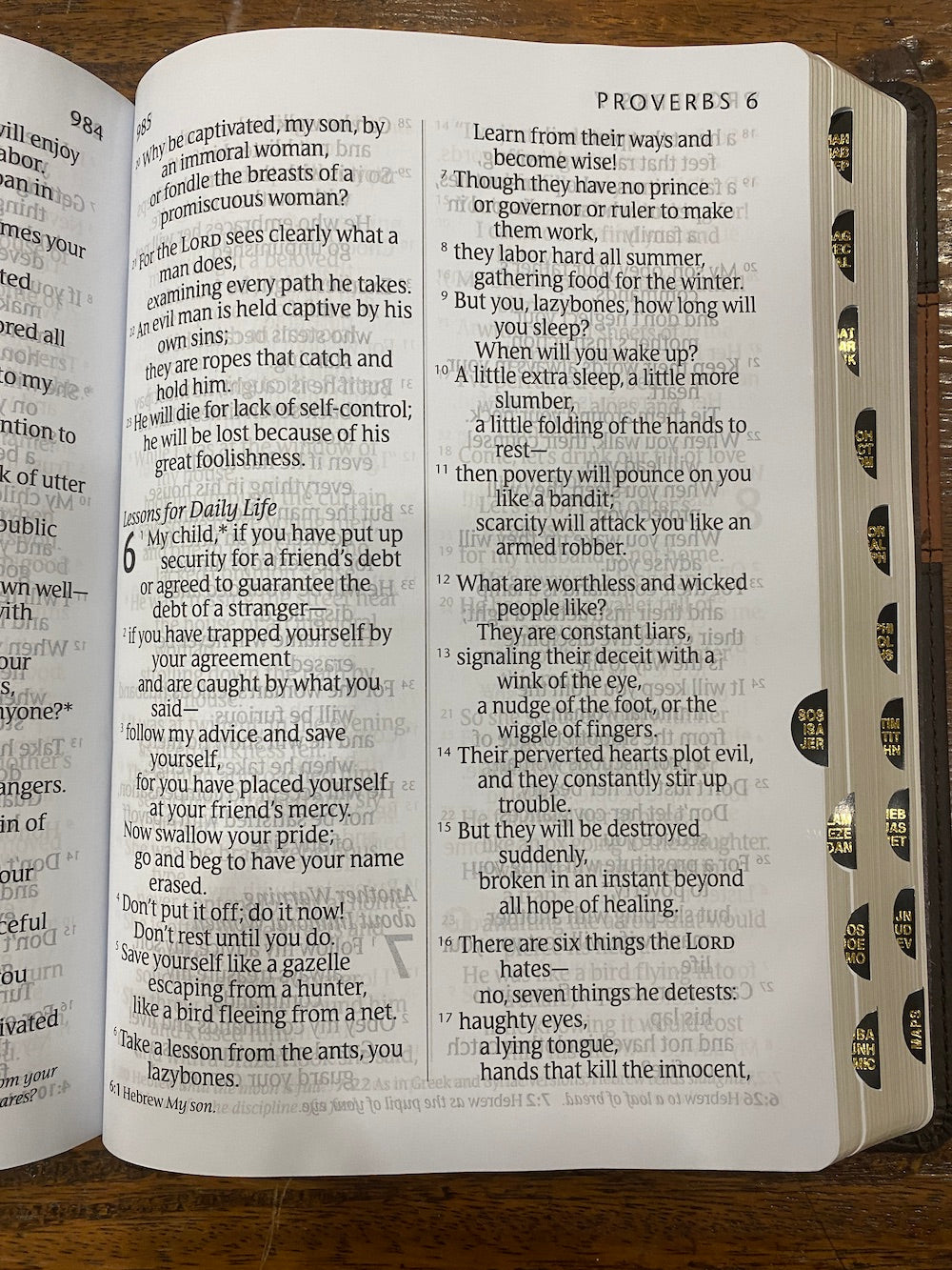 NLT Giant Print Bible (Imitation Leather, Brown/Tan)