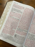 NLT Giant Print Bible (Imitation Leather, Brown/Tan)