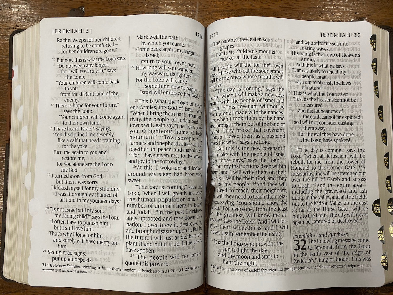 NLT Giant Print Bible (Imitation Leather, Brown/Tan)