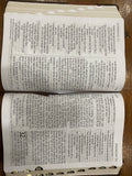NLT Giant Print Bible (Imitation Leather, Brown/Tan)