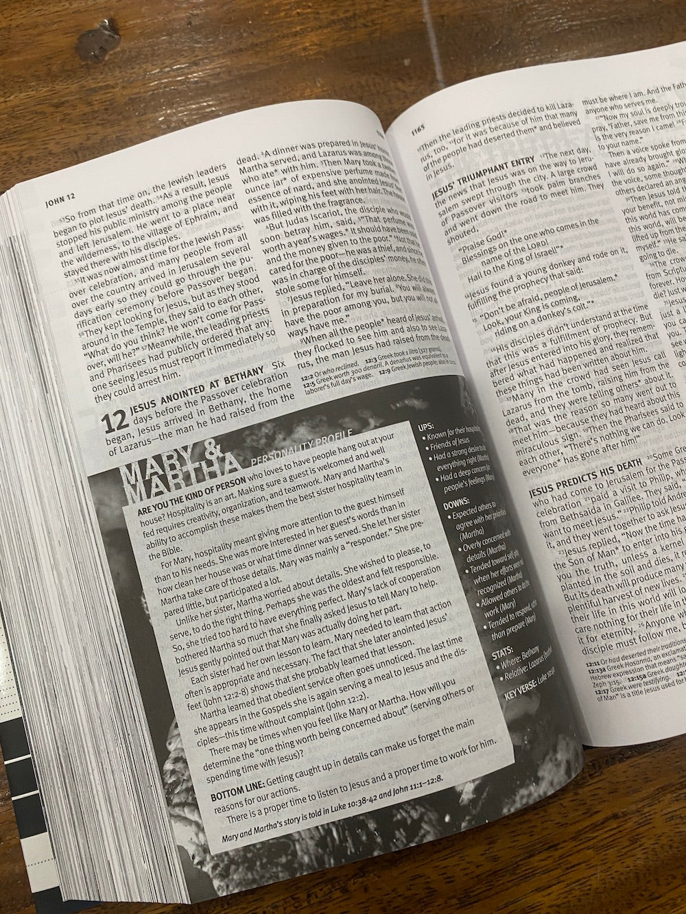 NLT Teen Life Application Study Bible (Hardcover)