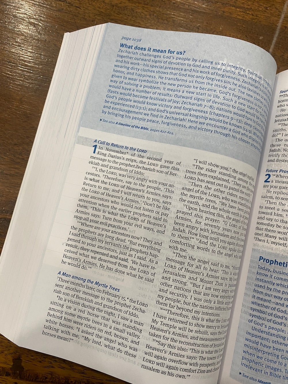 NLT Christian Basics Bible (Paperback)