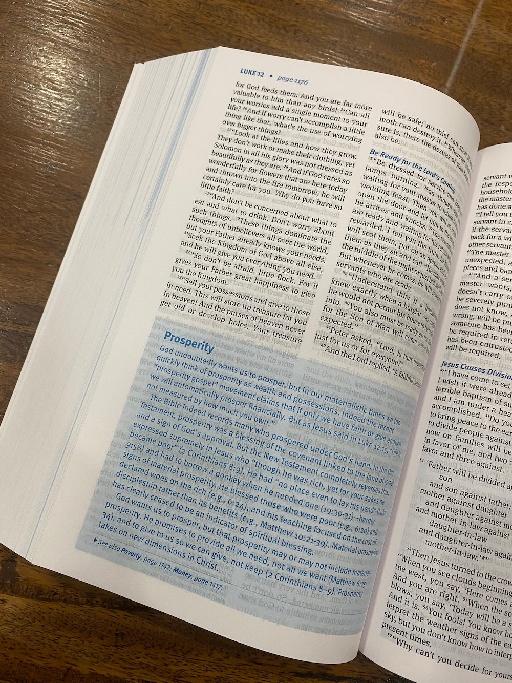 NLT Christian Basics Bible (Paperback)