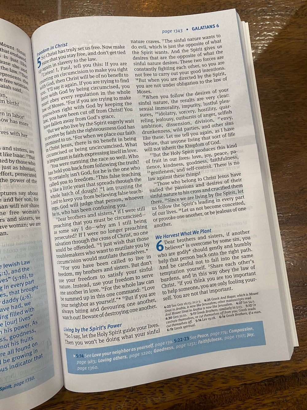 NLT Christian Basics Bible (Paperback)