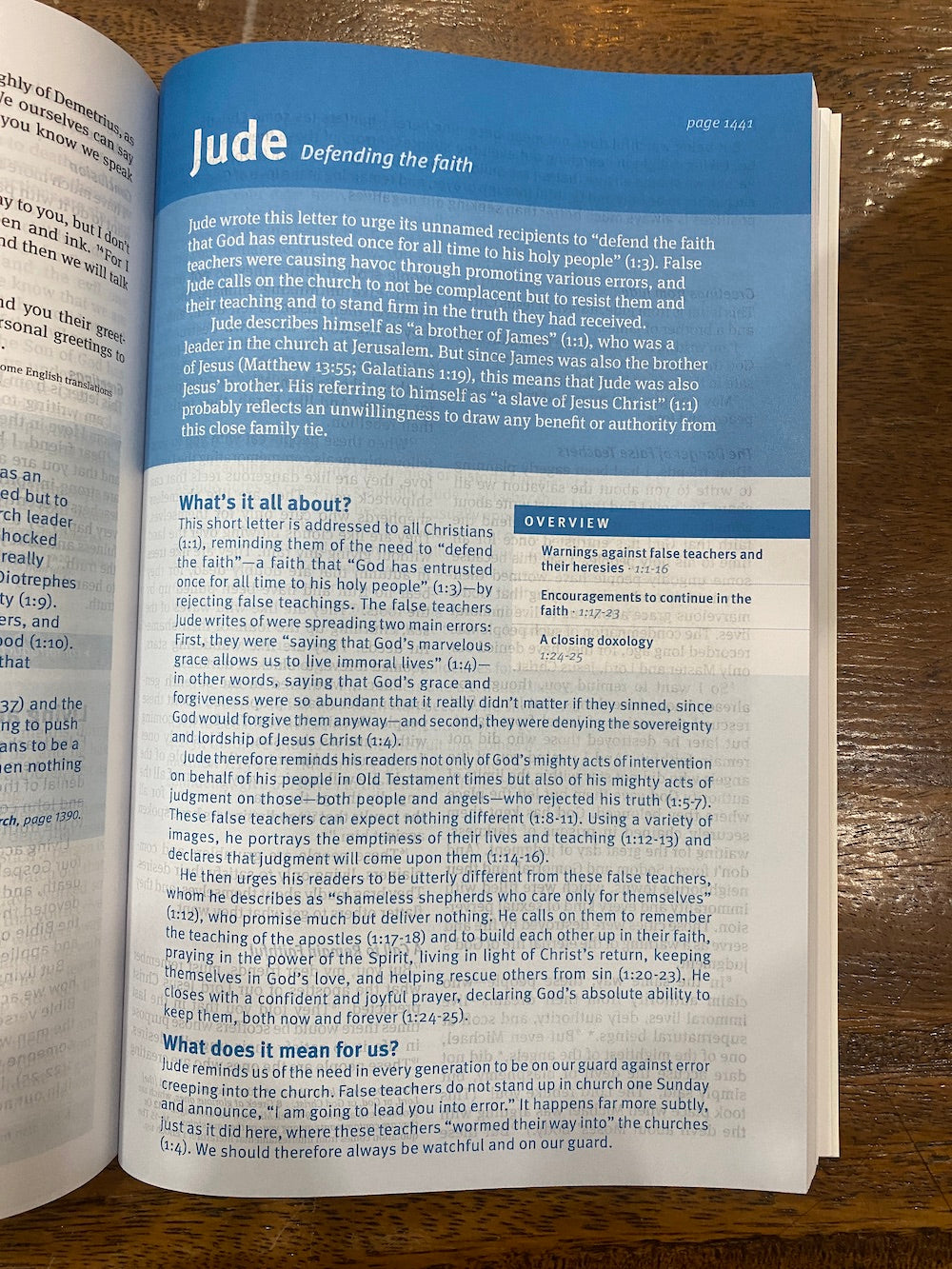 NLT Christian Basics Bible (Paperback)