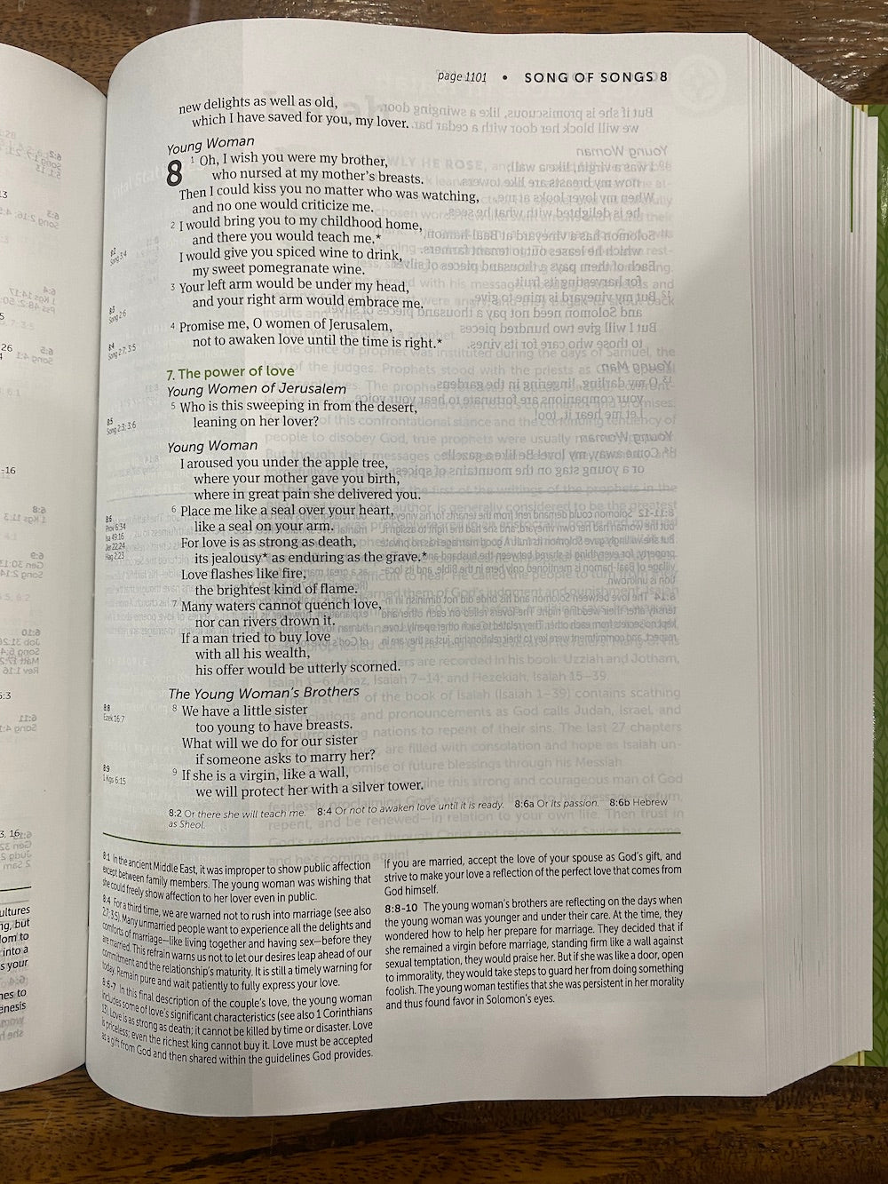 NLT Life Application Study Bible, Third Edition--hardcover, red letter