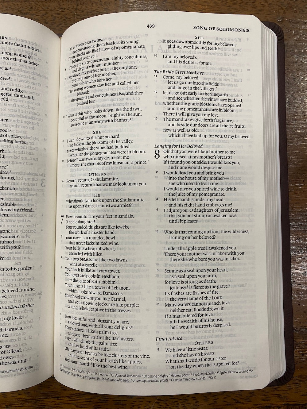ESV Value Thinline Bible (TruTone, Chestnut, Filigree Design)