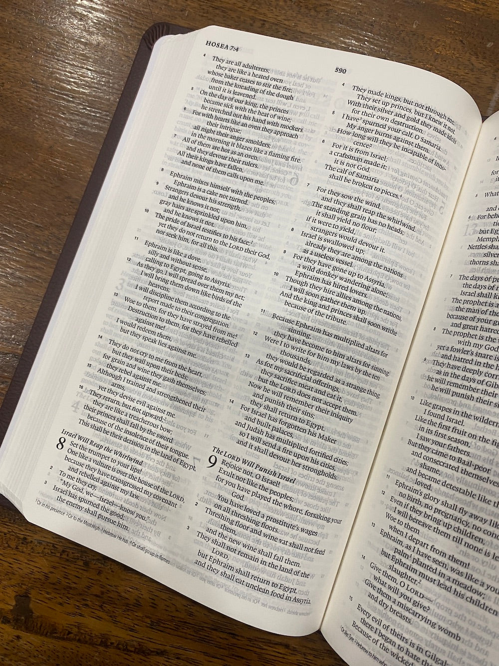 ESV Value Thinline Bible (TruTone, Chestnut, Filigree Design)