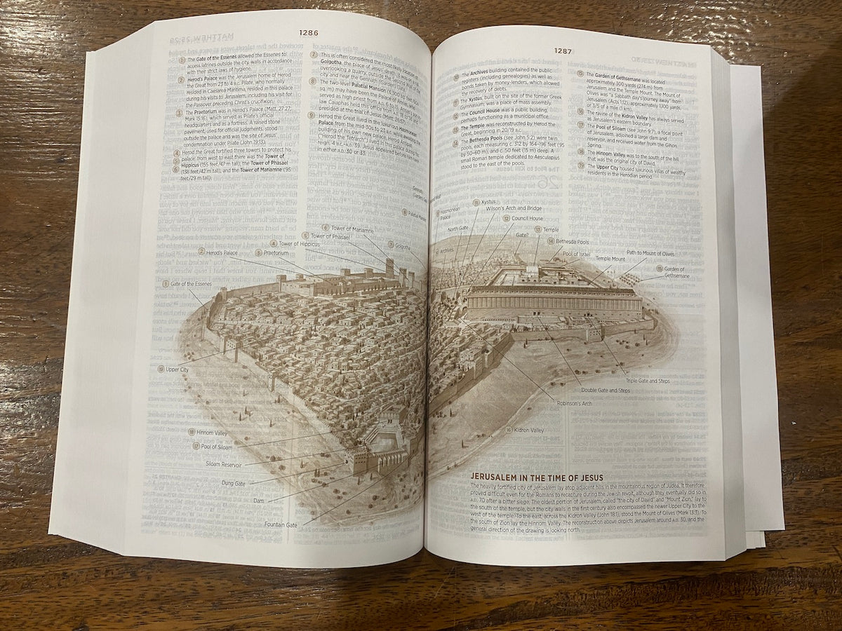 ESV Student Study Bible (Paperback)