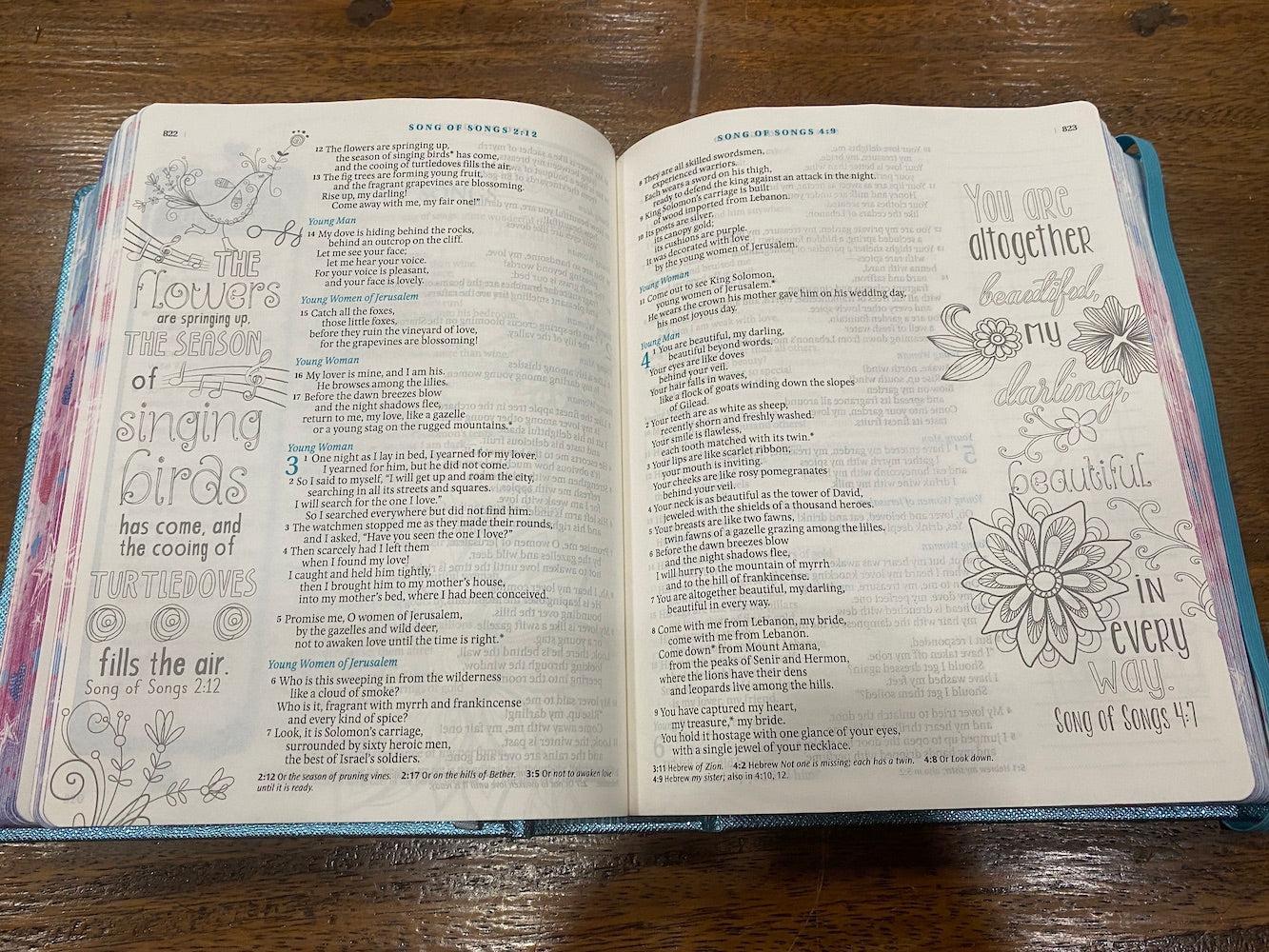 NLT Inspire Bible for Girls (Hardcover LeatherLike, Metallic Blue)