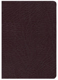 NIV Life Application Study Bible, Third Edition--bonded leather, burgundy