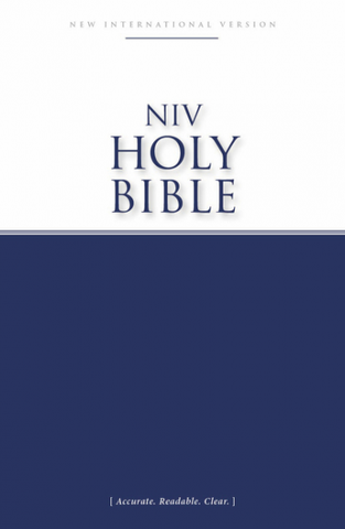 NIV Economy Bible (Paperback)