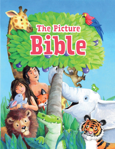 The Picture Bible (SALE ITEM)